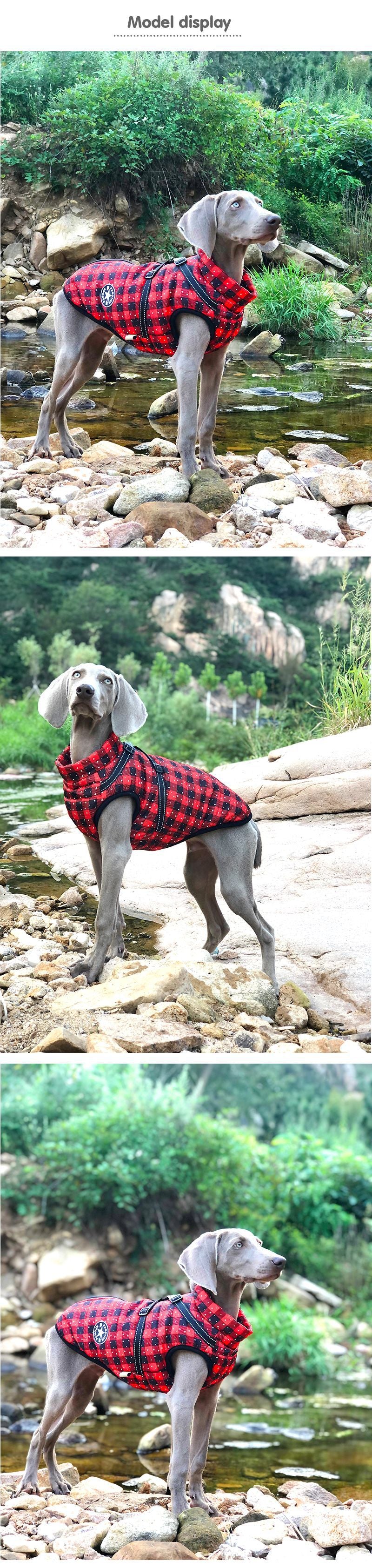 Waterproof & Reflective Padded Dog Coat