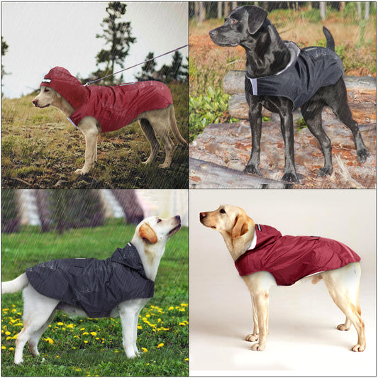 This waterproof dog coat has 2 layers, and a hood, it is available in red, yellow, black and blue. It is made from 100% waterproof ultra-light fabric outer and inside it has a breathable mesh fabric, to keep our dog dry, comfortable and protected from rain and snow.