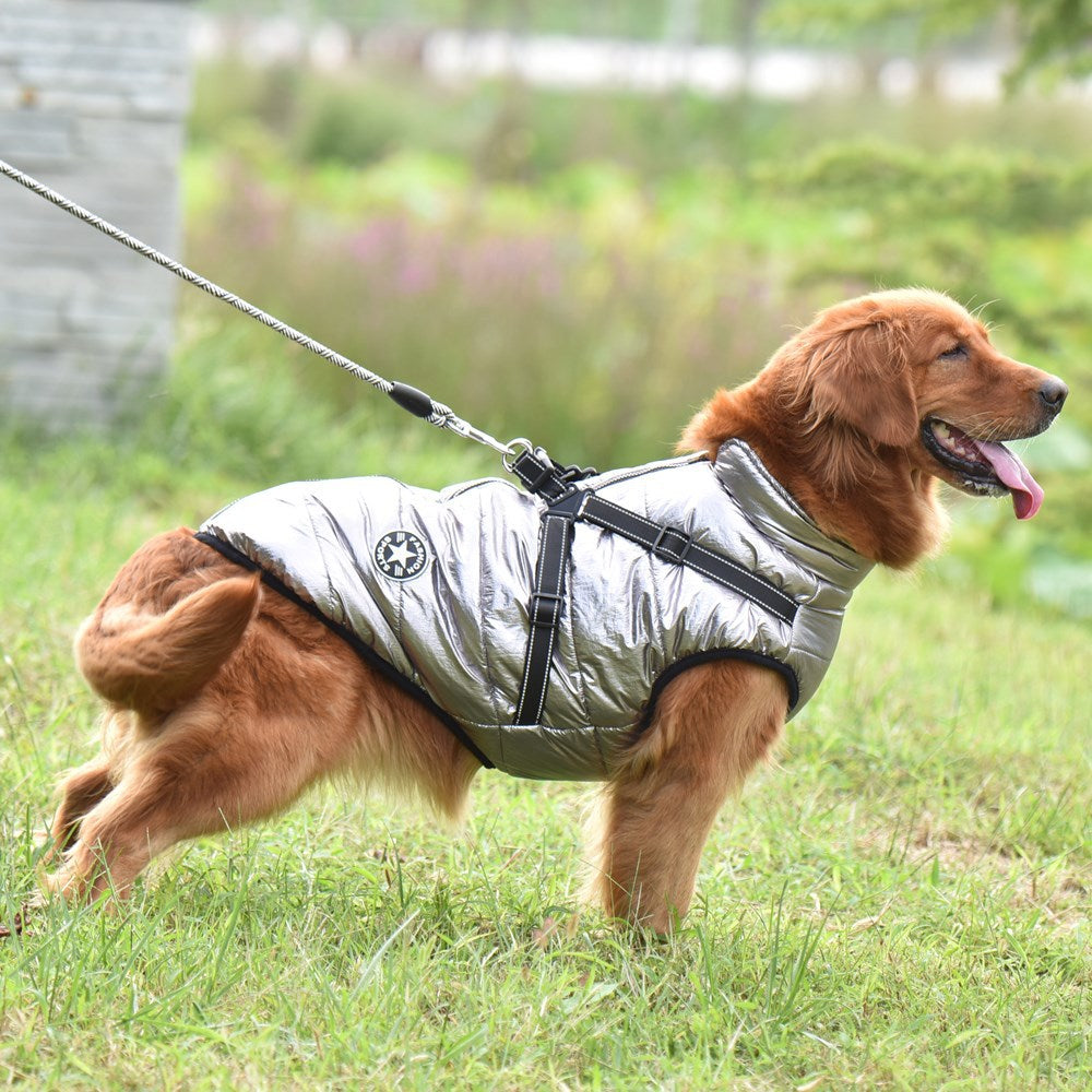 Waterproof & Reflective Padded Dog Coat