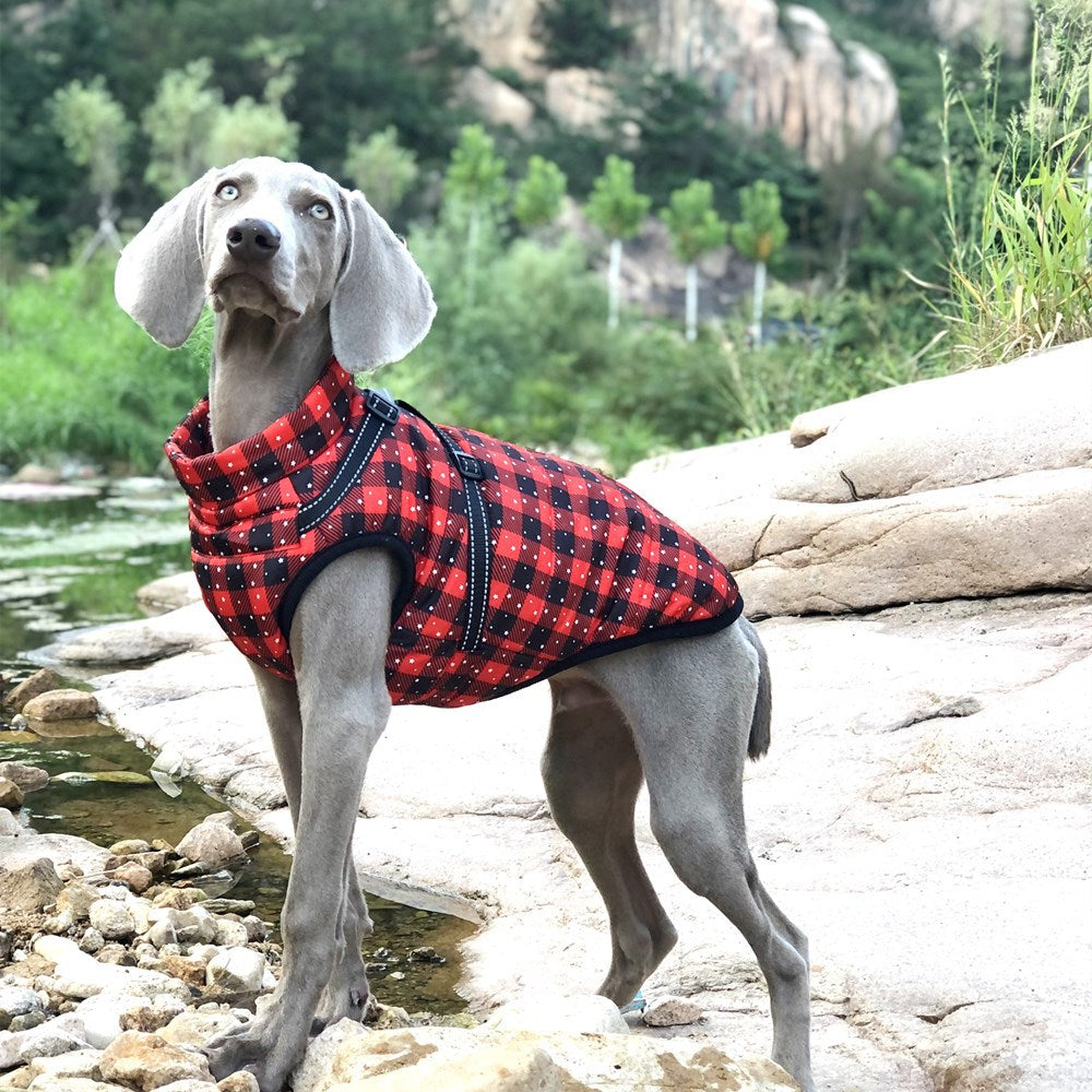 Waterproof & Reflective Padded Dog Coat